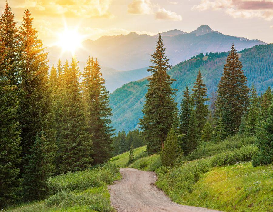 What Makes Grand Montis Hotel Ideal for Nature Lovers